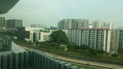 Sky Green (D13), Condominium #136847672